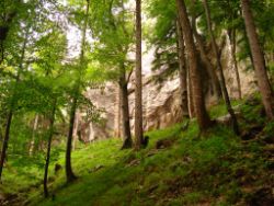 1913-07-05_Regina-F-Rau_Sonnenspitz_Kotalm-Jachenau (093).JPG